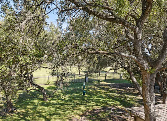 a view of a park with trees and a fence