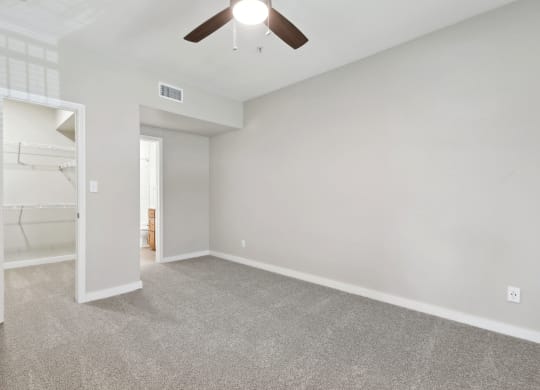 Plush Carpeting at The Canyons Apartments, Fort Worth, 76116