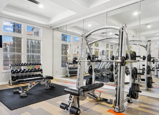 a home gym with weights and cardio equipment and windows at La Ventura Apartments, Plano, 75093