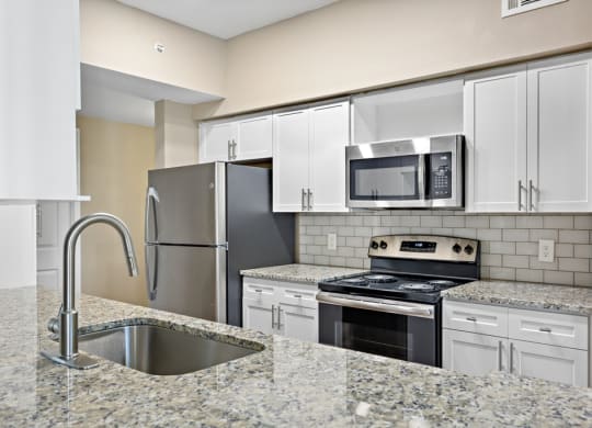 Modern Kitchen With Custom Cabinet  at Stone Oak @ Parmer, Austin, TX
