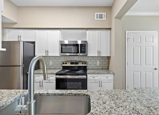 Stainless Steel Sink With Faucet In Kitchen  at Stone Oak @ Parmer, Austin, TX, 78727