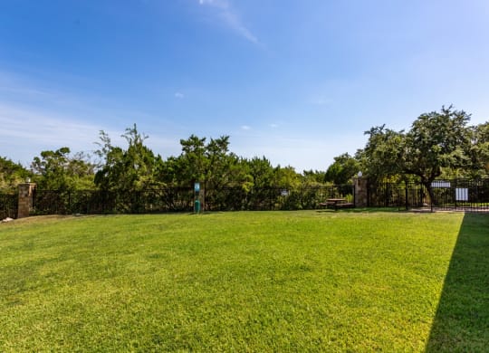 a large grassy area with trees in the background at The Verandah, Austin