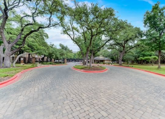 an empty street with trees in the middle of it