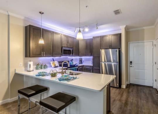 Kitchen at The Oasis at 301 Luxury Apartment Homes, Florida