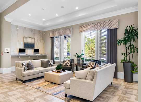 A living room with a couch, a coffee table, and a potted plant.