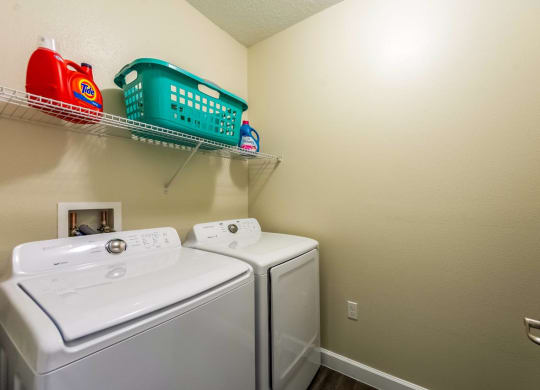 Laundry Room at The Oasis at 301 Luxury Apartment Homes, Florida, 33578