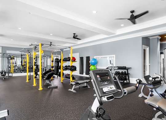 A gym with a variety of equipment including a treadmill, weights, and a bench press.