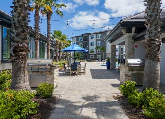 Walkway with Palm Trees at The Oasis at Town Center Apartments, Jacksonville
