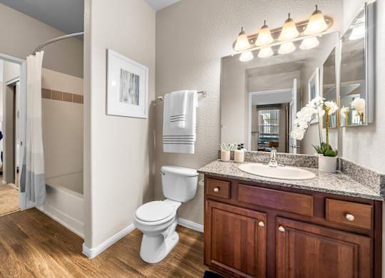 A bathroom with a toilet, sink, and mirror.