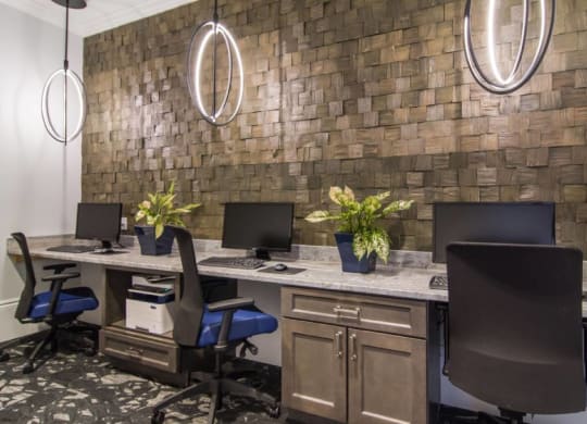 Business Center at The Oasis at Town Center, Jacksonville, 32246
