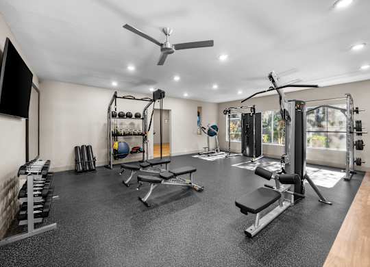 A spacious home gym with a variety of equipment including a squat rack, bench, and weights.