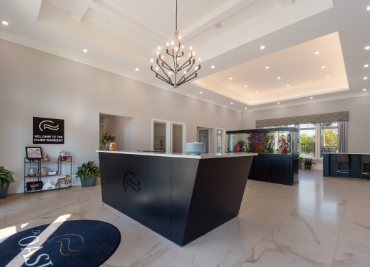 a modern reception desk with a chandelier hanging from the ceiling  at The Oasis at Manatee River, Florida, 34211