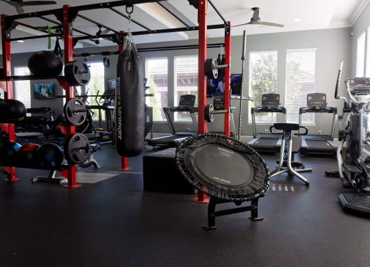 a home gym with weights and cardio equipment at The Oasis at Moss Park, Orlando, 32832