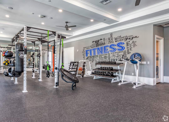 the gym at the enclave at woodbridge apartments in sugar land, tx at The Oasis at Manatee River, Bradenton, FL