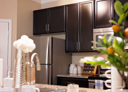 Kitchen Appliances at The Oasis at Moss Park, Orlando, FL, 32832