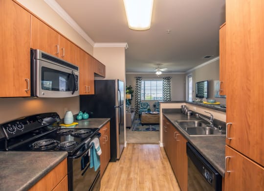 Galley style kitchen with stainless steel appliances and wood cabinets at Loreto & Palacio Apartments, Nevada