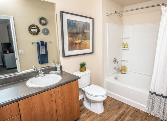 a bathroom with a sink toilet and a bath tub at Loreto & Palacio Apartments, Nevada 89149