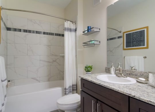a bathroom with a sink and a toilet and a shower at The Oasis at Town Center, FL