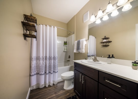 a bathroom with a sink and a toilet and a shower at The Oasis at Highwoods Preserve, Tampa
