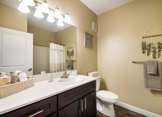 a bathroom with a sink and a toilet and a mirror at The Oasis at Highwoods Preserve, Tampa, 33647