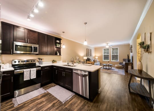 a kitchen and living room with dark wood cabinets and stainless steel appliances at The Oasis at Highwoods Preserve, Tampa