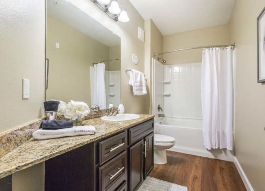 Bathroom at The Oasis at Brandon, Riverview, Florida
