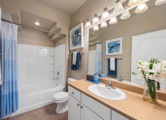 A bathroom with a white toilet, a sink, a mirror, and a shower.