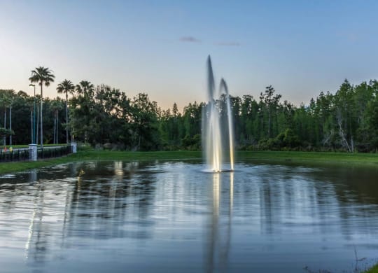 Twilight Fountain View at The Oasis at Highwoods Preserve, Tampa, FL