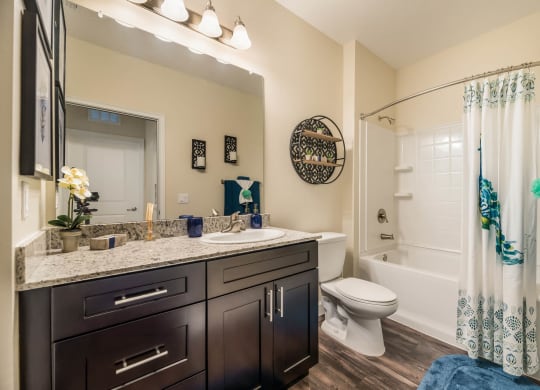 Luxurious Bathroom at The Oasis at Moss Park Preserve, Orlando, FL, 32832