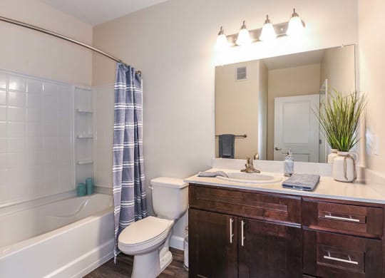 Luxurious Bathroom at The Oasis at Cypress Woods, Fort Myers, 33966