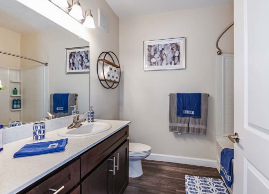 Bathroom With Vanity Lights at The Oasis at Cypress Woods, Florida, 33966