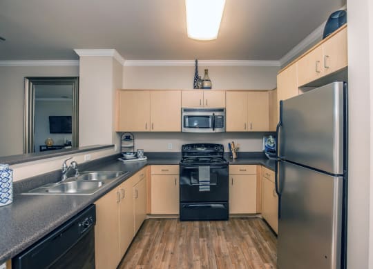 a kitchen with stainless steel appliances and wood flooring at Loreto & Palacio Apartments, Nevada