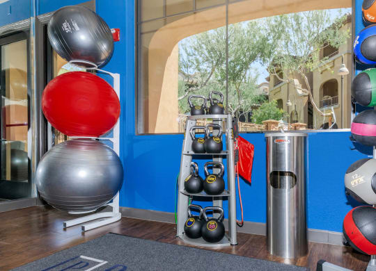 Amenities at The Aliante by Picerne, Scottsdale, AZ