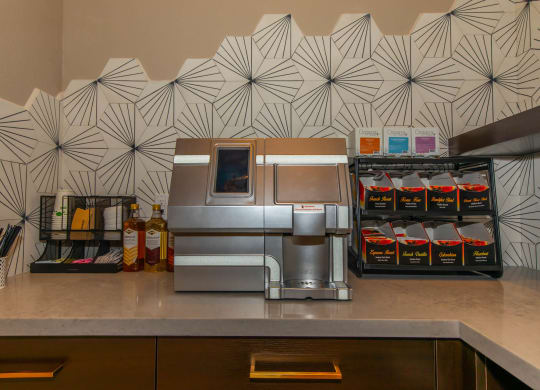 Kitchen appliances 1 at Level 25 at Cactus by Picerne, Las Vegas, Nevada