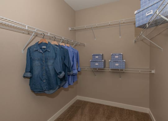 Closet space1 at Level 25 at Cactus by Picerne, Las Vegas, 89141