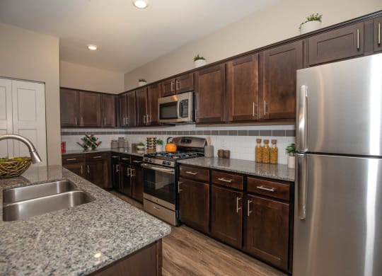 Cabinets in the kitchen at Level 25 at Cactus by Picerne, Las Vegas, Nevada