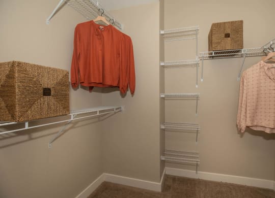 Closet at Level 25 at Cactus by Picerne, Nevada, 89141
