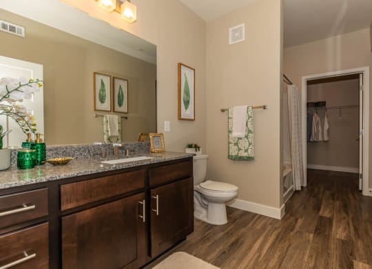 Bathroom attached to closet at Level 25 at Cactus by Picerne, Las Vegas, Nevada