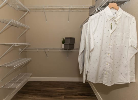 Closet at Level 25 at Cactus by Picerne, Las Vegas, 89141