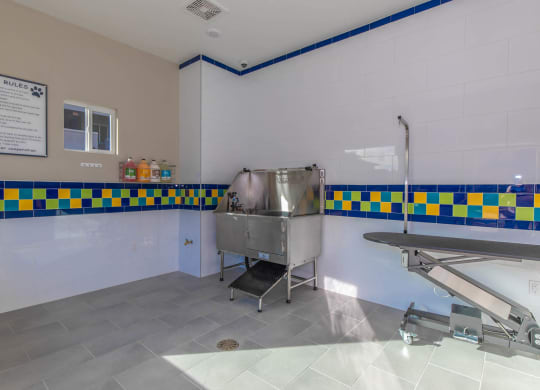Dog bath at Level 25 at Cactus by Picerne, Las Vegas