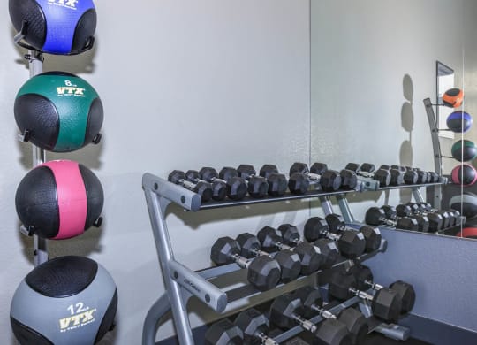 Weights at Level 25 at Durango by Picerne, Las Vegas, NV