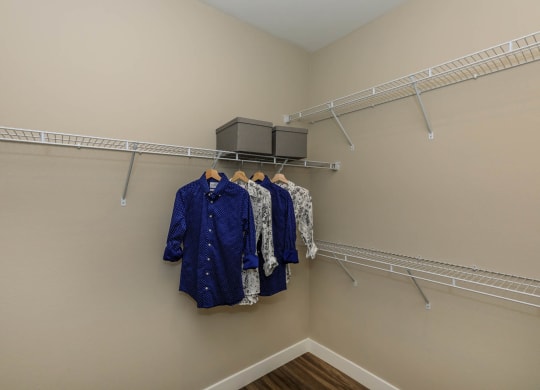 closet at Level 25 at Sunset by Picerne, Las Vegas, NV, 89113
