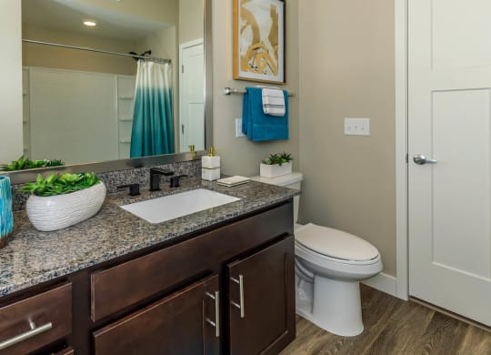 Bathroom vanity  at Level 25 at Sunset by Picerne, Las Vegas, NV, 89113