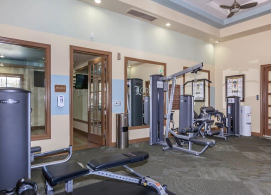 Gym center at Loreto & Palacio by Picerne, Nevada, 89149