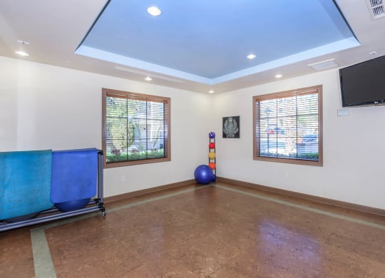 Gym area at Loreto & Palacio by Picerne, Nevada