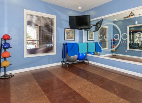 Gym weights at Loreto & Palacio by Picerne, Las Vegas