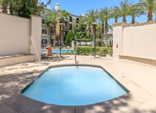 Small pool at Loreto & Palacio by Picerne, Las Vegas, 89149