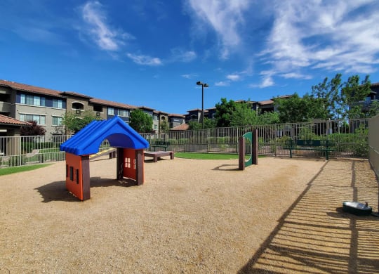 Dog Park With agility Equipment's at The Paramount by Picerne, Las Vegas, NV, 89123