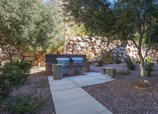 Grill Stations at The Passage Apartments by Picerne, Henderson, NV, 89014