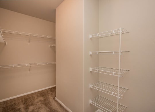 Built-In Shelving In Closet at The Passage Apartments by Picerne, Henderson